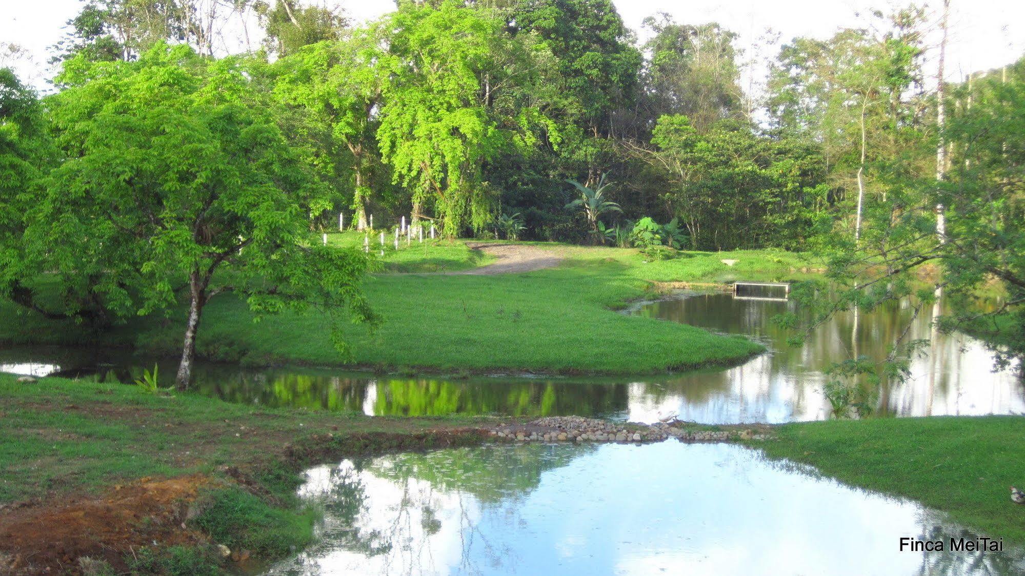 Mei Tai Cacao Lodge Бихагуа Экстерьер фото