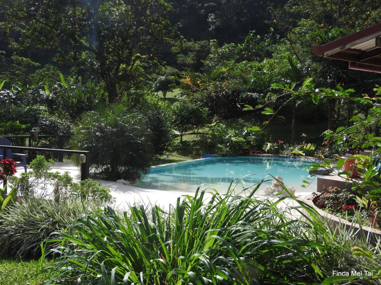 Mei Tai Cacao Lodge Бихагуа Экстерьер фото