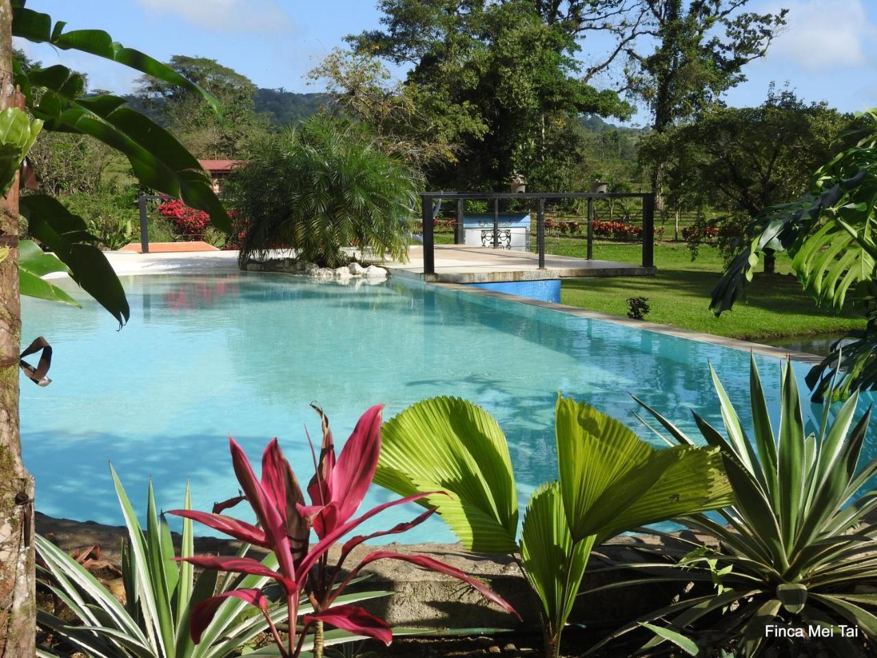 Mei Tai Cacao Lodge Бихагуа Экстерьер фото